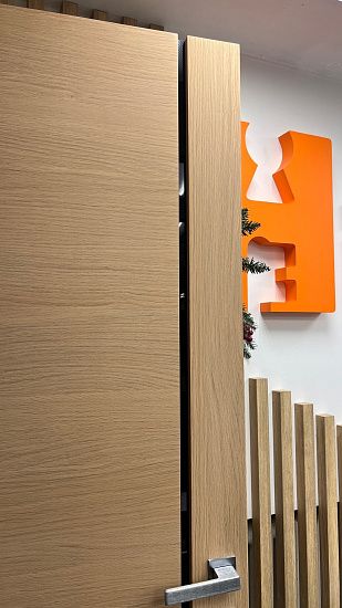 Межкомнатная дверь  